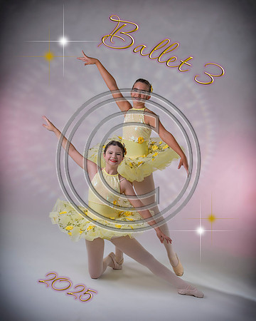 9110sBallet3