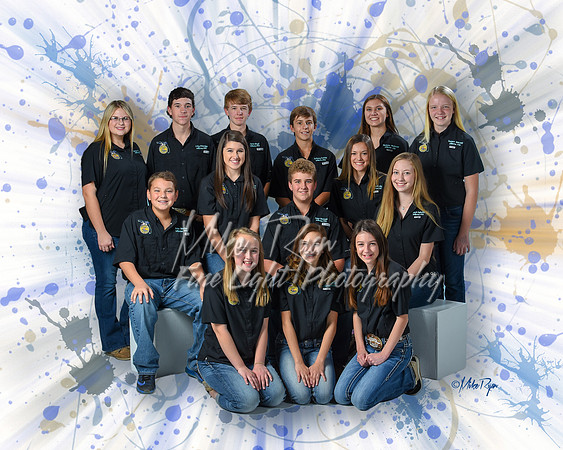 6607FFA201617