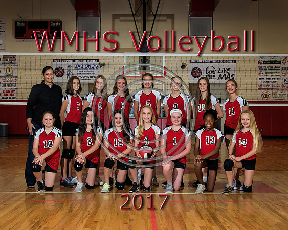 3640WMHSVolley2017