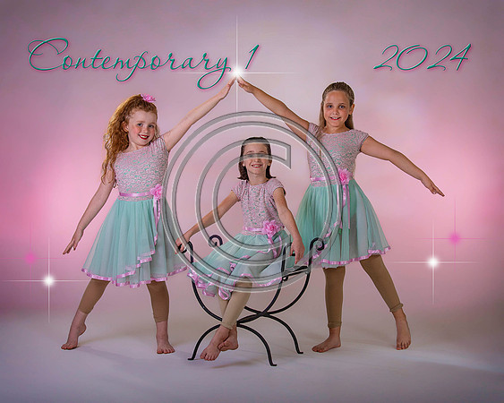 5244Contemporary1s