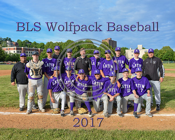 7907BLSBaseball2017s