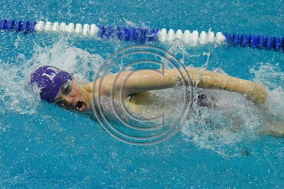 DSC_0194