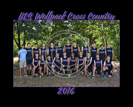 BLSCCTeam