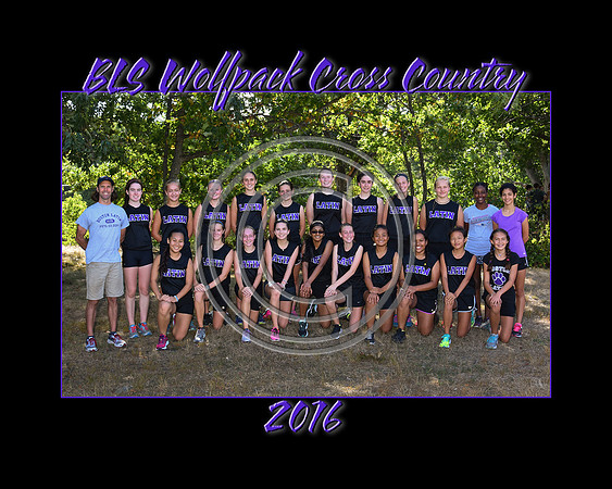 BLSLadyCCTeam2016