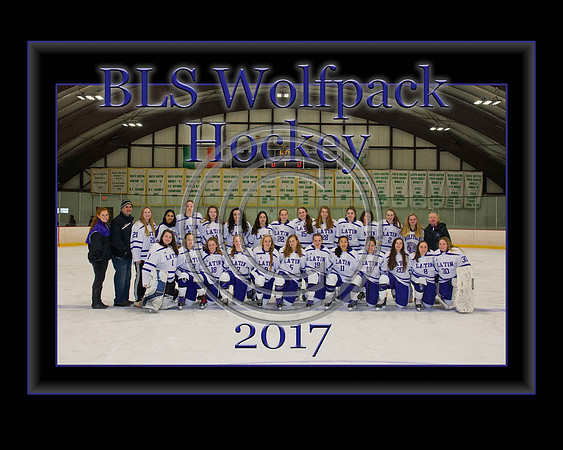 BLSGIRLSHOCKEYTEAM2017