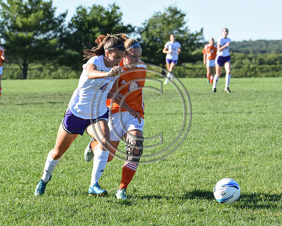 DSC_0845_1