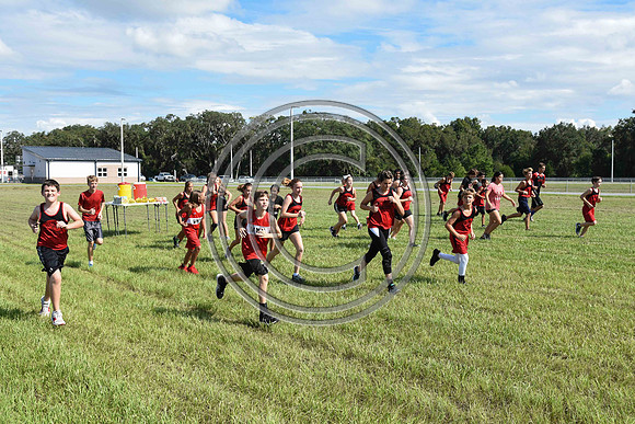 DSC_2689