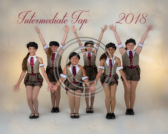 INTERTAP2018S