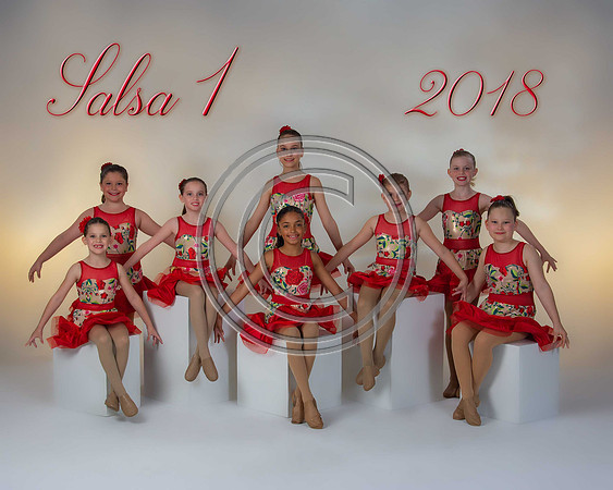 SALSA12018