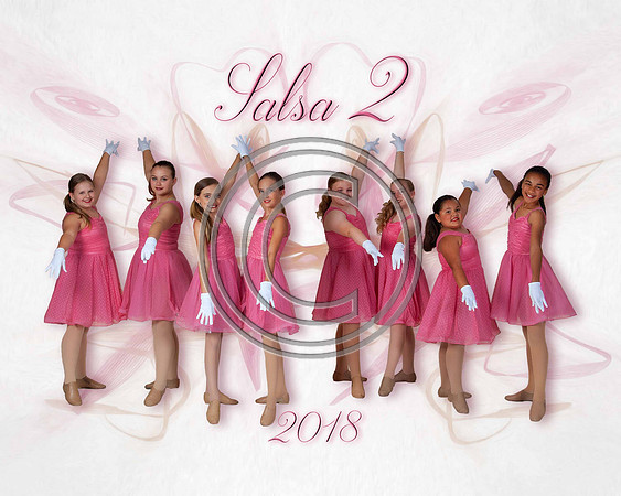 SALSA22018S