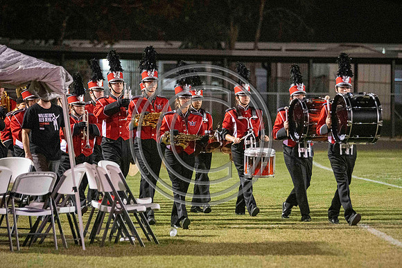 DSC_6533
