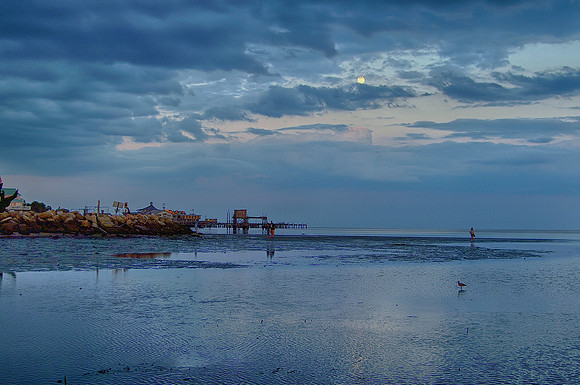 Cedar Key 1