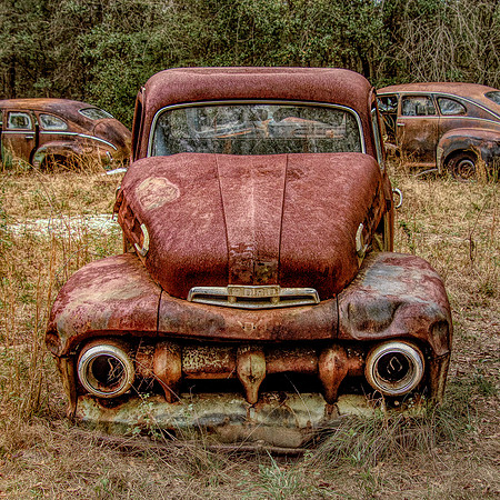 Ford010