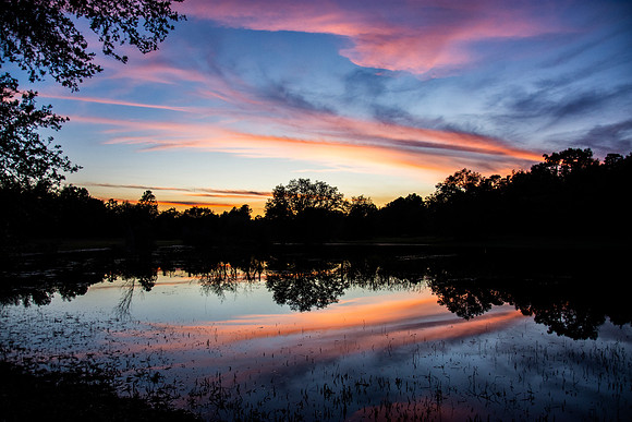 0411 Sunset backyard Morriston
