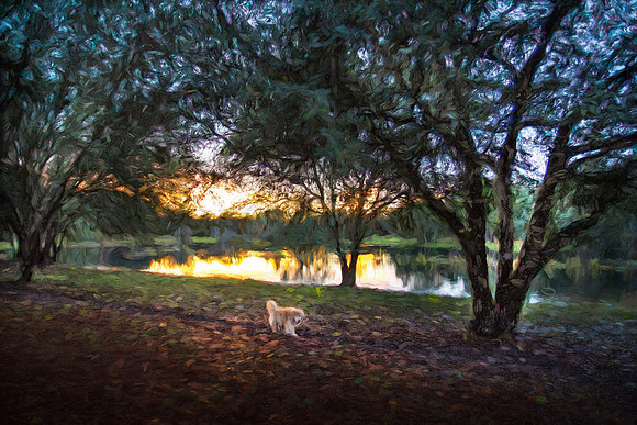 Sandy's stroll at sunset