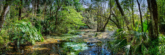 Rainbow Springs 30x10