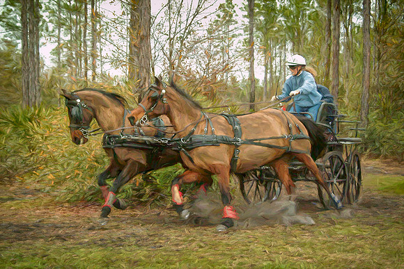 Horse Power