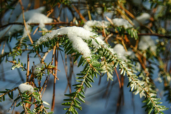 First Snow2