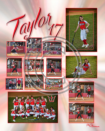 TaylorPoster2019s