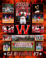 WMHS Softball/Baseball 16x20 Posters