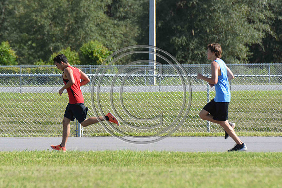 DSC_3019