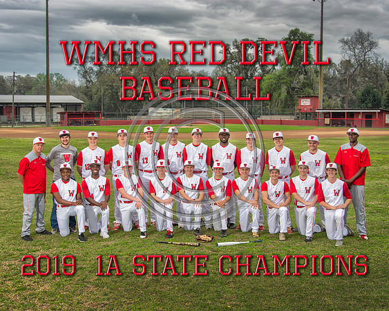 WMHSBaseballStateChamps2019-1