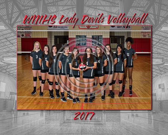 3555WMHSJVVolley2017