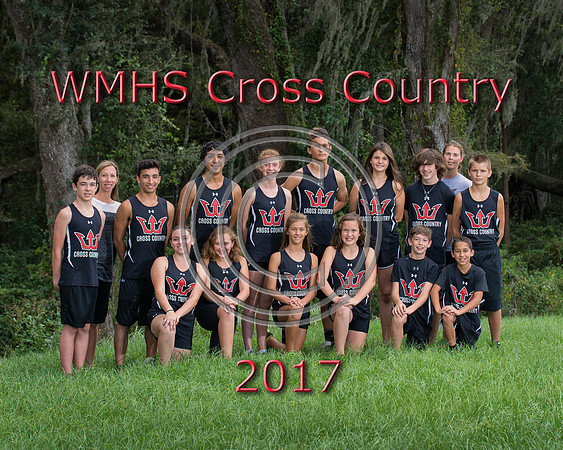3511WMHSCC2017s